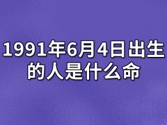 1991年6月4日出生的人是什