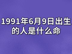 1991年6月9日出生的人是什