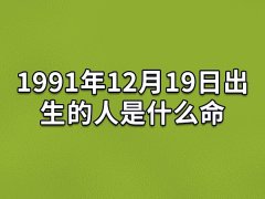 1991年12月19日出生的人是什