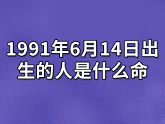 1991年6月14日出生的人是什么命：性格偏激（情绪外露）