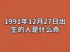 1991年12月27日出生的人是什么命：是个行动派(非常聪明)