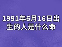 1991年6月16日出生的人是什