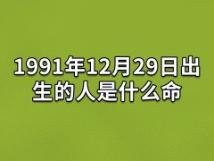 1991年12月29日出生的人是什么命：有点固执(比较较真)