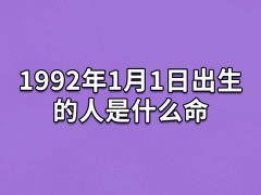 1992年1月1日出生的人是什么命:勇敢果决(内热外冷)