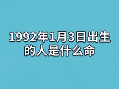 1992年1月3日出生的人是什么命：口才非凡(有点任性)