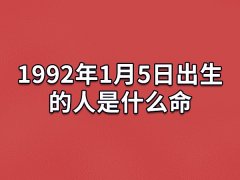 1992年1月5日出生的人是什么命：积极进取(自尊心强)