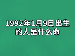 1992年1月9日出生的人是什么命：善于交际(为人谨慎)