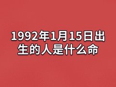 1992年1月15日出生的人是什