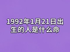 1992年1月21日出生的人是什么命：不善表达(追求完美)