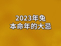 2023年兔本命年的大忌-2023年属兔有哪些大忌