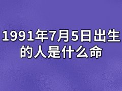 1991年7月5日出生的人是什