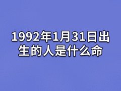 1992年1月31日出生的人是什么命：运势不错(勤勉朴素)