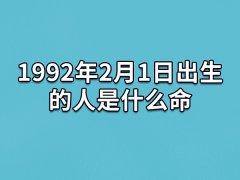 1992年2月1日出生的人是什