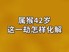 属猴42岁这一劫怎样化解-属猴42岁劫难如何化解