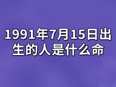 1991年7月15日出生的人是什