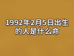 1992年2月5日出生的人是什么命：事业顺利(天资聪颖)