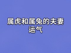 属虎和属兔的夫妻运气：