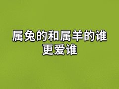 属兔的和属羊的谁更爱谁-属兔和属羊的人谁爱的更多些