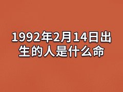 1992年2月14日出生的人是什