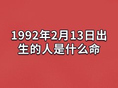 1992年2月13日出生的人是什么命：财运起伏(业务能力强)