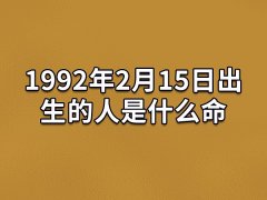 1992年2月15日出生的人是什么命：朋友很多(有幽默感)