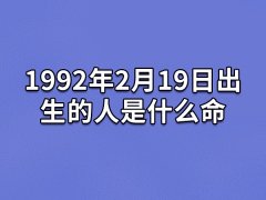 1992年2月19日出生的人是什么命：敦厚朴实(意志顽强)