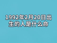 1992年2月20日出生的人是什么命：非常幸运(性子比较急)