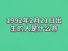 1992年2月21日出生的人是什么命：事业出众(财运一般)