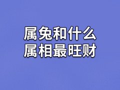 属兔和什么属相最旺财-属兔和哪个属相合财