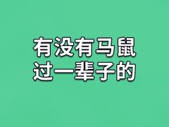 有没有马鼠过一辈子的-属