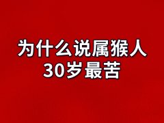 为什么说属猴人30岁最苦