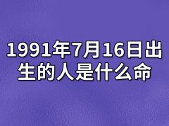 1991年7月16日出生的人是什