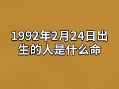 1992年2月24日出生的人是什