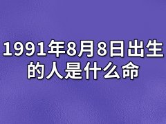 1991年8月8日出生的人是什