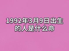 1992年3月9日出生的人是什么命：心态很好(追求完美)