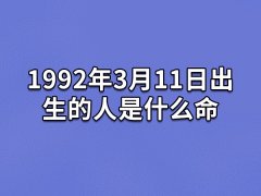 1992年3月11日出生的人是什