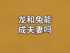 龙和兔能成夫妻吗-属龙和属兔适合在一起吗