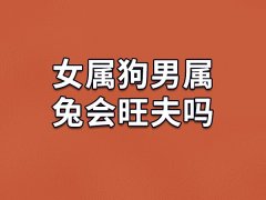 女属狗男属兔会旺夫吗:会旺夫(事业进步大)