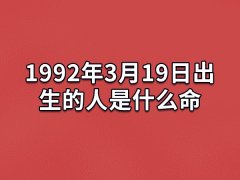 1992年3月19日出生的人是什