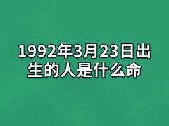 1992年3月23日出生的人是什么命：文学天赋高(善良浪漫)