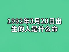 1992年3月28日出生的人是什