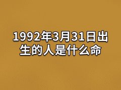 1992年3月31日出生的人是什么命：温柔羞怯(热爱艺术)