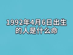 1992年4月6日出生的人是什么命：自尊心强(才华出众)