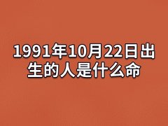 1991年10月22日出生的人是什么命：责任感强(做事有耐心)