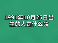 1991年10月25日出生的人是什