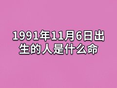 1991年11月6日出生的人是什