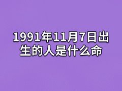 1991年11月7日出生的人是什