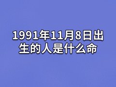 1991年11月8日出生的人是什么命：性子比较急(不易满足)