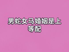 男蛇女马婚姻是上等配：