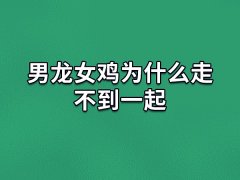 男龙女鸡为什么走不到一